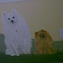 Oct10-34.jpg